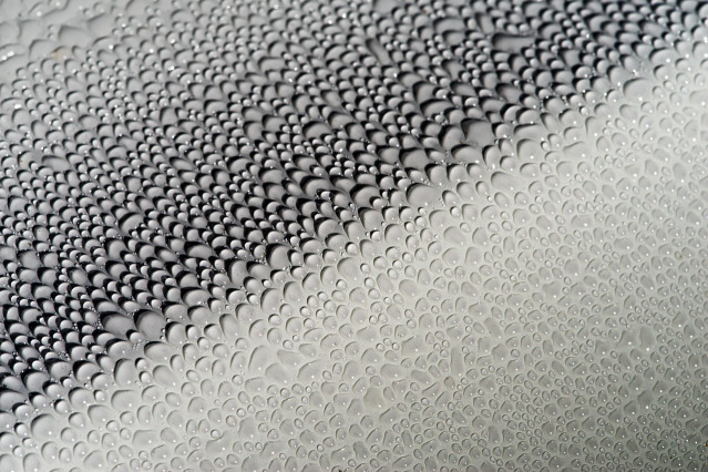 exterior wash and wax water beads on car body